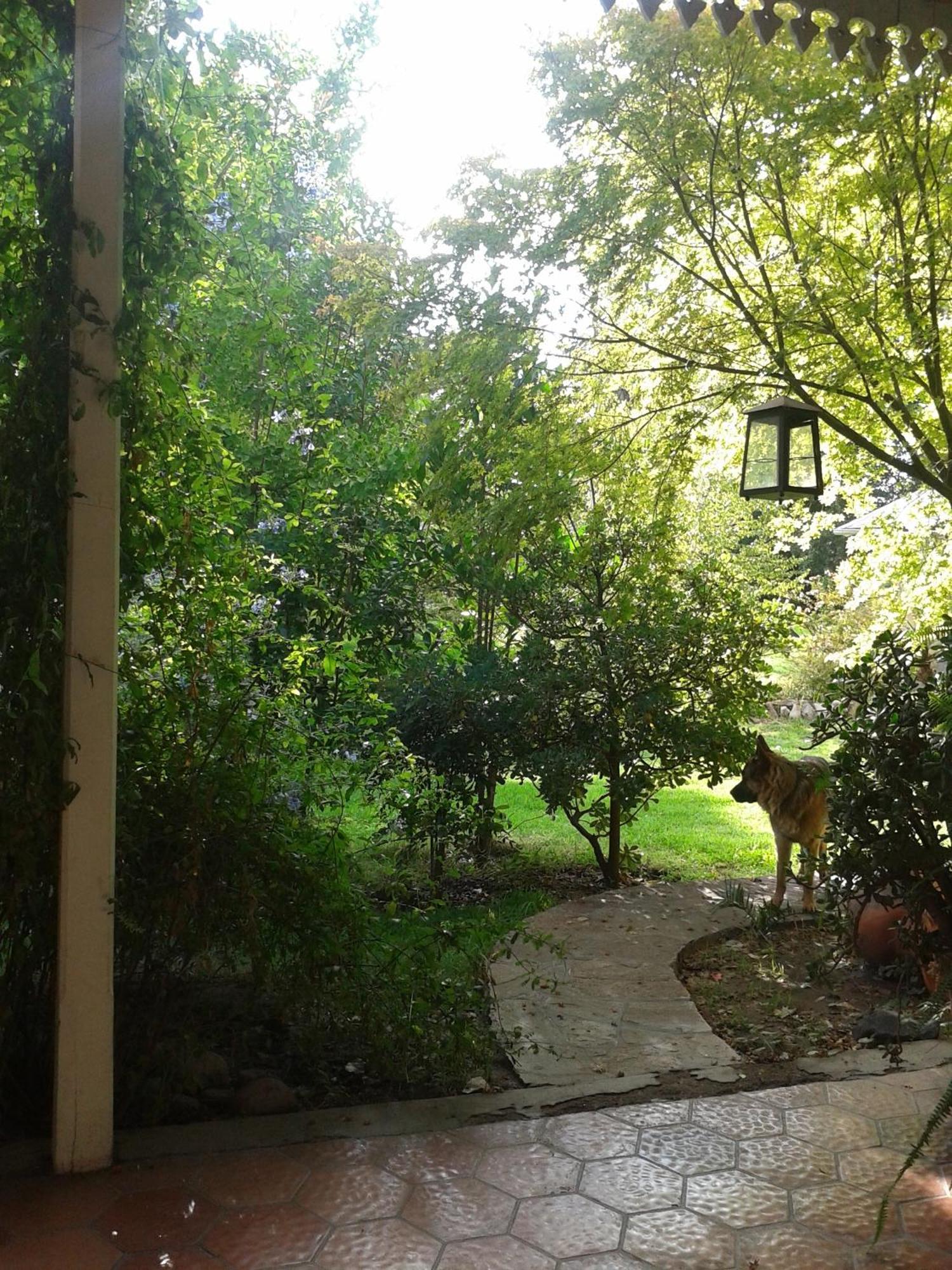 Casco El Trapiche Bed & Breakfast Godoy Cruz Room photo